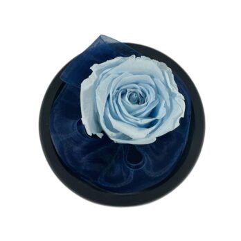 Forever Light Blue Rose Tulle Medium