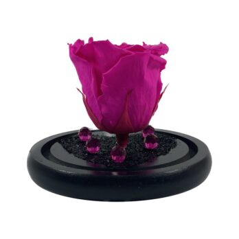 Παντοτινό Αποχυμωμένο Τριαντάφυλλο σε Ροζ Χρώμα με Μεγάλα Στρας – Medium