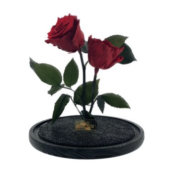 Διπλό Παντοτινό Αποχυμωμένο Τριαντάφυλλο σε Κόκκινο Χρώμα με Στρας – Extra Large