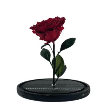 Forever Red Rose Diamond Extra Large