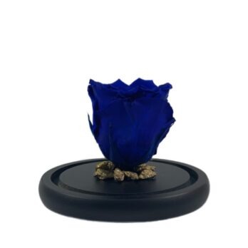 Παντοτινό Αποχυμωμένο Τριαντάφυλλο σε Μπλε Χρώμα με Χρυσές Πέτρες – Medium
