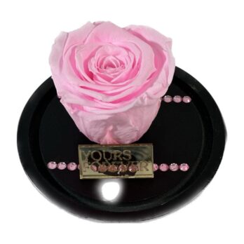 Παντοτινό Αποχυμωμένο Τριαντάφυλλο σε Ροζ Χρώμα με Στρας – Medium