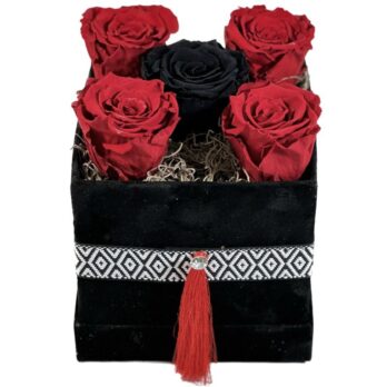 Παντοντινά Αποχυμωμένα Κόκκινα και Μαύρα Τριαντάφυλλα σε Μαύρο Κουτί