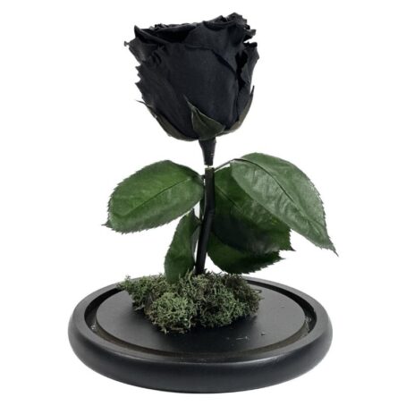 Forever Black Rose Large 1