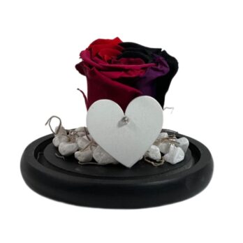 Δίχρωμο Παντοτινό Αποχυμωμένο Τριαντάφυλλο με Διακοσμητική Λευκή Καρδιά – Medium