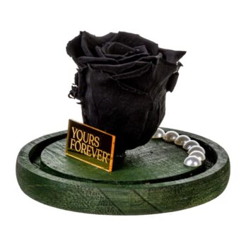 Παντοτινό Αποχυμωμένο Τριαντάφυλλο σε Μαύρο Χρώμα με Πέρλες – Medium