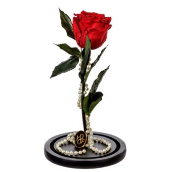 Παντοτινό Αποχυμωμένο Τριαντάφυλλο σε Κόκκινο Χρώμα με Κολιέ από Πέρλες – Large