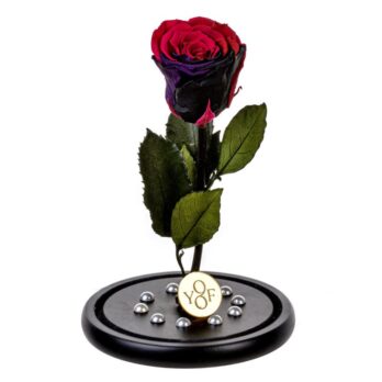 Παντοτινό Αποχυμωμένο Τριαντάφυλλο σε Κόκκινο και Μαύρο Χρώμα με Πέρλες – Large