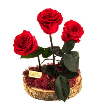 Τρία Παντοτυνά Αποχυμωμένα Τριαντάφυλλα Χρώματος Κόκκινο